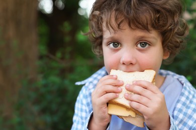 Photo of Cute little boy eating sandwich outdoors, space for text. School lunch