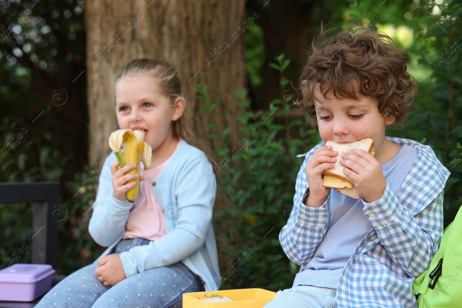 Photo of Cute kids eating food on bench outdoors. School lunch