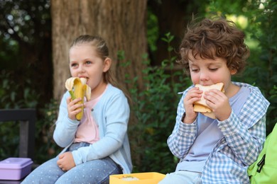 Photo of Cute kids eating food on bench outdoors. School lunch