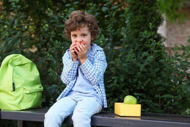 Photo of Cute little boy eating apple on bench outdoors. School lunch