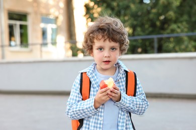 Photo of Cute little boy eating apple outdoors. School lunch