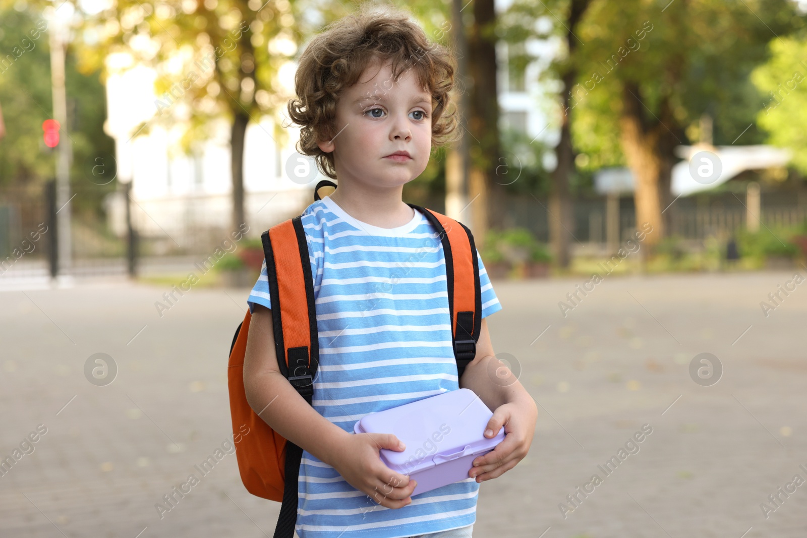 Photo of Cute little boy with school lunch box outdoors
