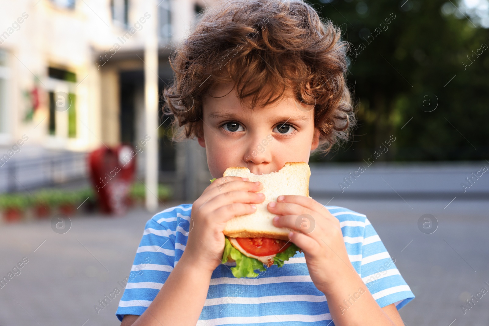 Photo of Cute little boy eating sandwich outdoors. School lunch