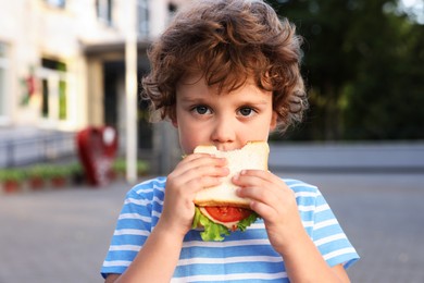 Photo of Cute little boy eating sandwich outdoors. School lunch