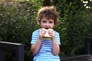 Photo of Cute little boy eating sandwich on bench outdoors. School lunch