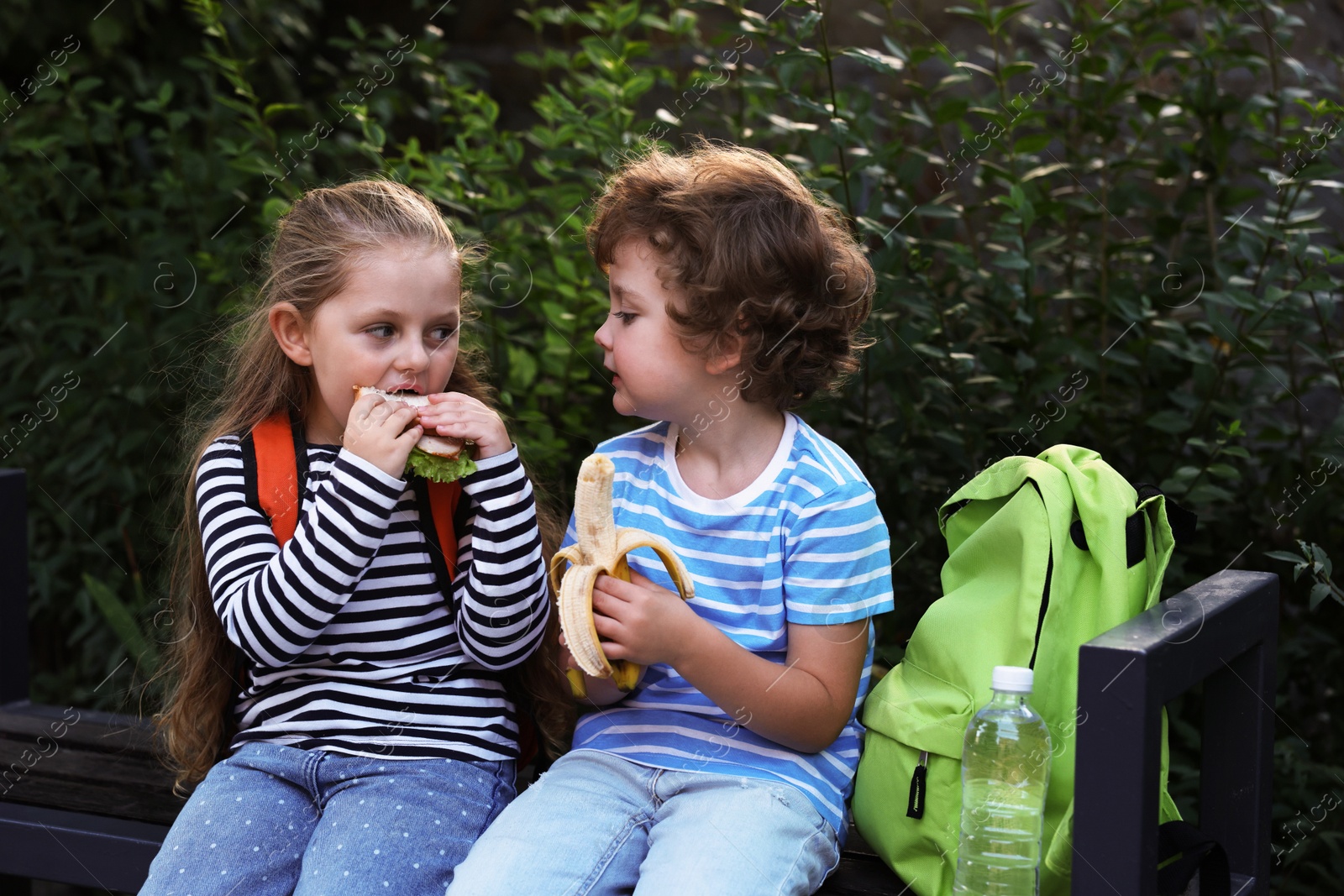 Photo of Cute little kids eating food on bench outdoors. School lunch