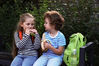 Photo of Cute little kids eating food on bench outdoors. School lunch