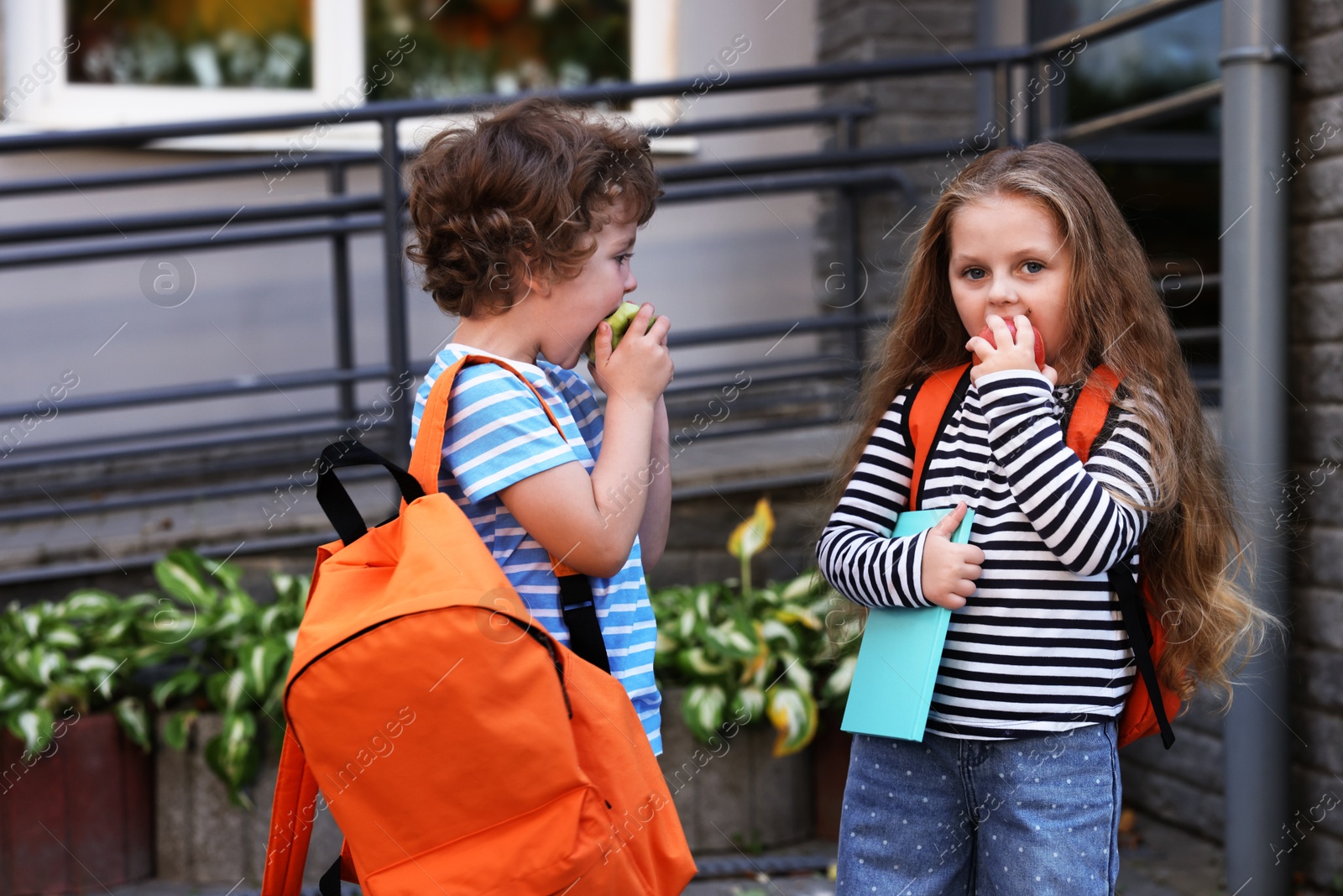 Photo of Cute little kids eating apples outdoors. School lunch
