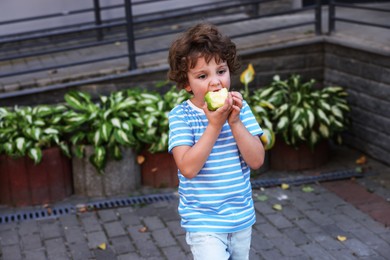 Photo of Cute little boy eating apple outdoors. School lunch