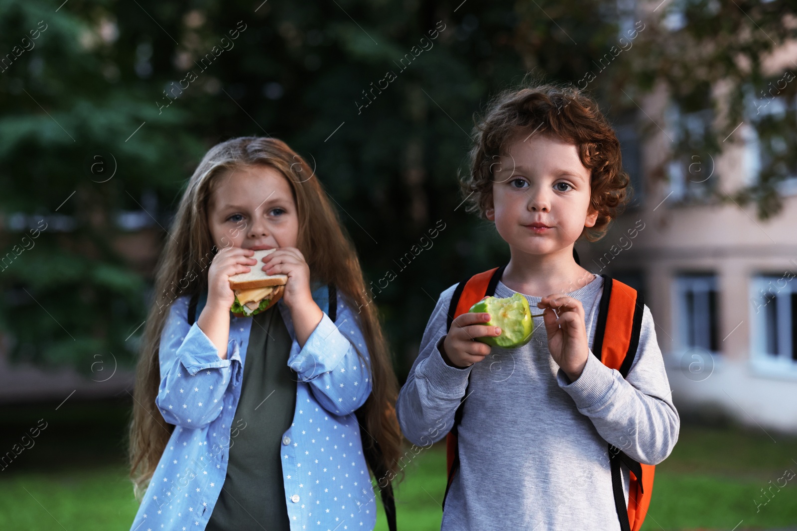 Photo of Cute little kids eating food outdoors. School lunch