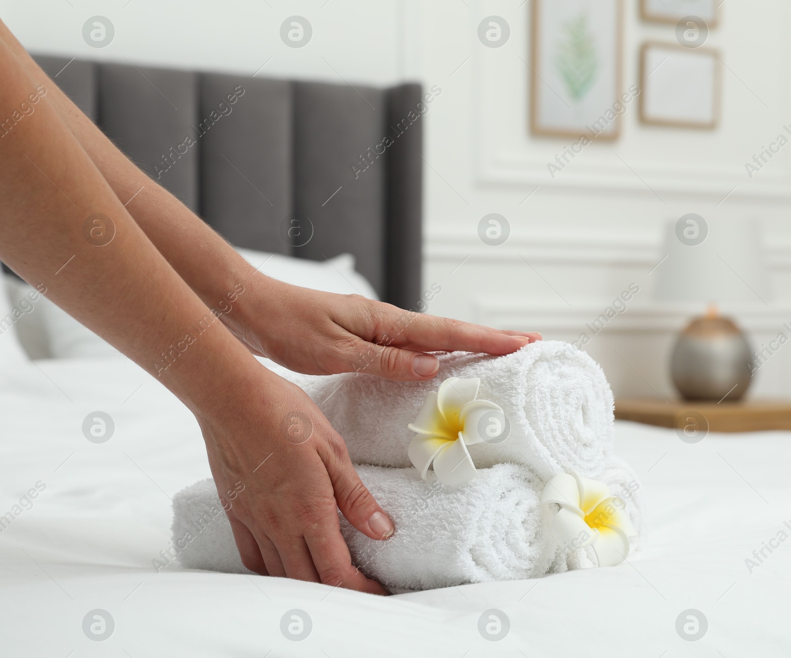 Photo of Woman putting stack of white terry towels and plumeria flowers onto bed indoors, closeup
