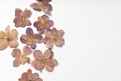 Photo of Many dry lilac flowers on white background, flat lay. Space for text