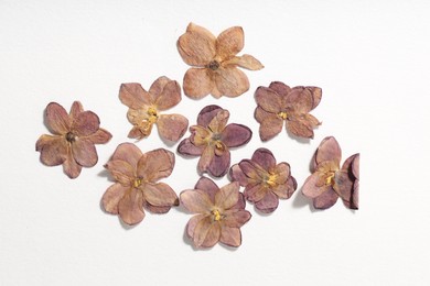 Photo of Many dry lilac flowers on white background, flat lay