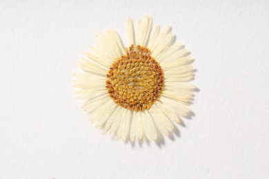 Photo of Beautiful dry chamomile flower on white background, top view
