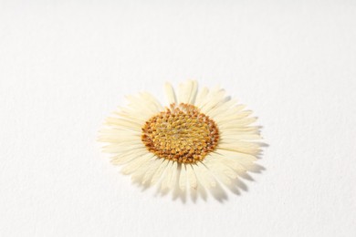 Photo of Beautiful dry chamomile flower on white background, closeup