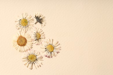 Photo of Beautiful dry chamomile flowers on beige paper, flat lay. Space for text