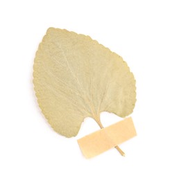 Photo of Beautiful dry leaf with adhesive tape isolated on white