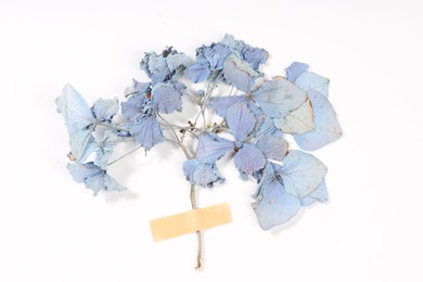Photo of Beautiful dry hydrangea flowers with adhesive tape on white background, top view