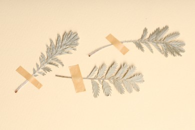 Photo of Beautiful dry leaves with adhesive tape on beige background, flat lay