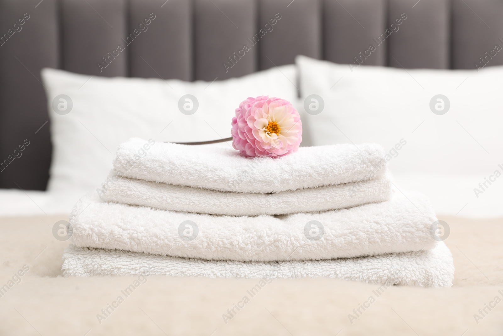 Photo of Stack of white terry towels and dahlia flower on bed, closeup