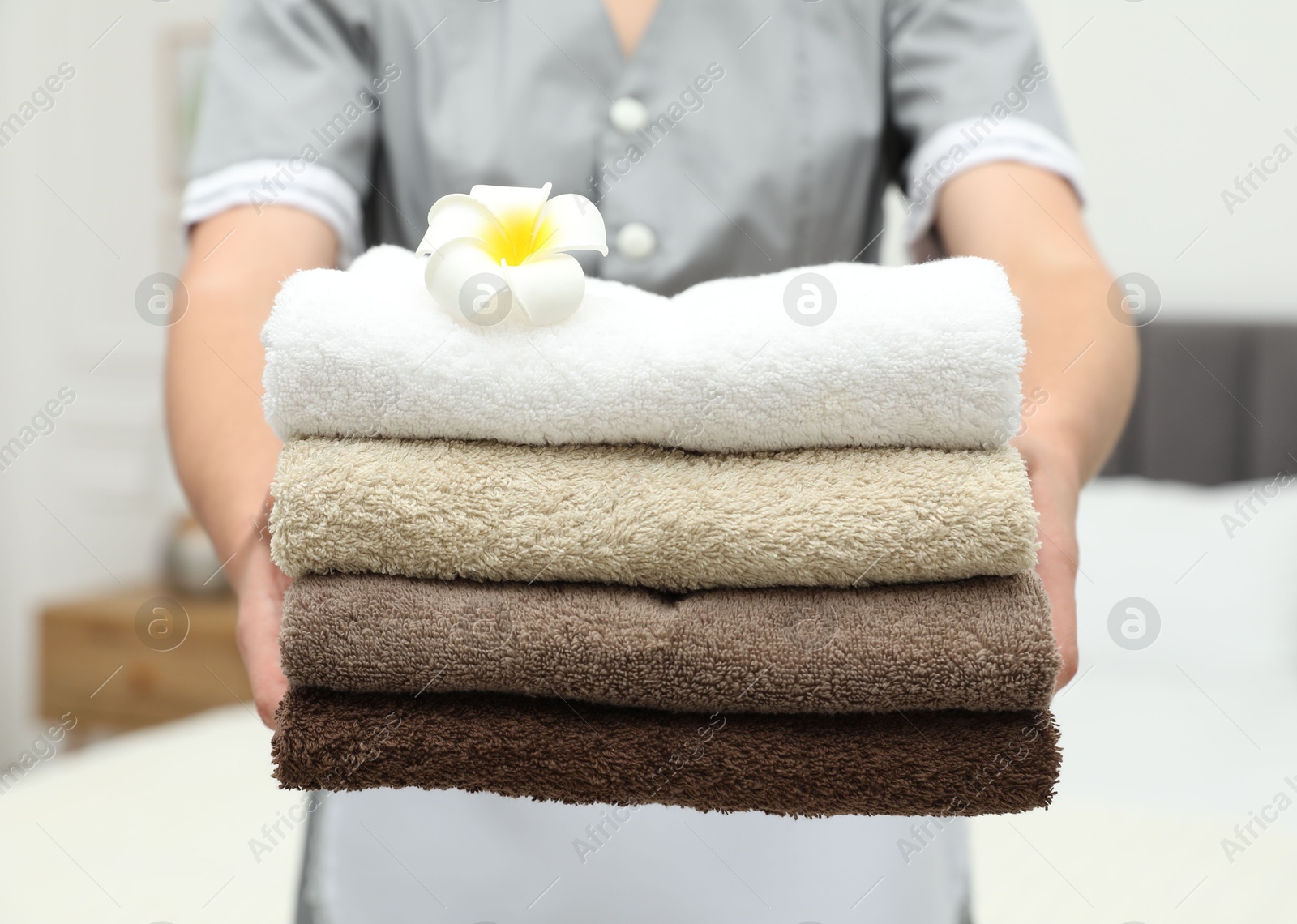 Photo of Chambermaid with stack of terry towels and plumeria flower in hotel room, closeup