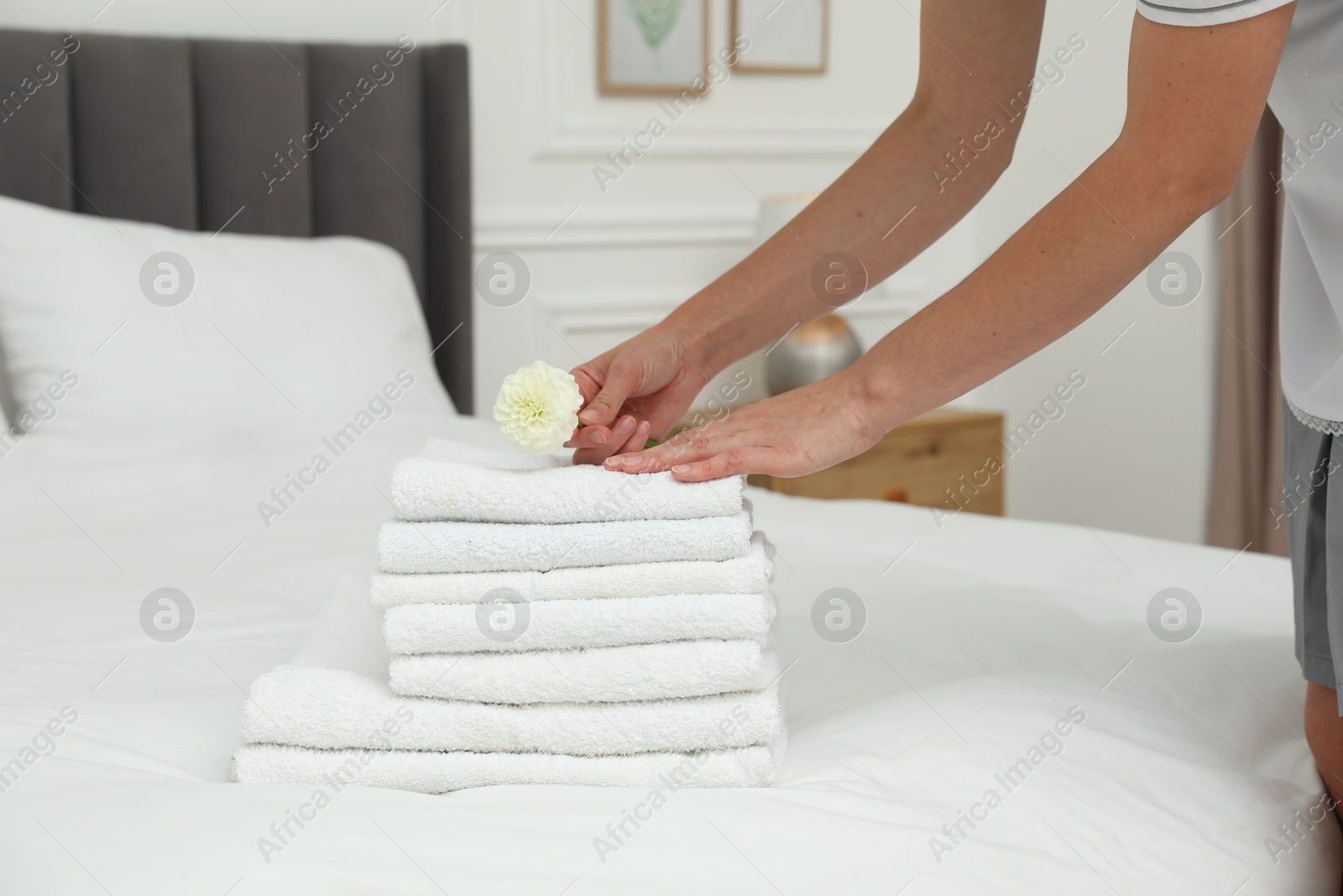 Photo of Chambermaid putting dahlia flower onto stack of white terry towels on bed in hotel room, closeup