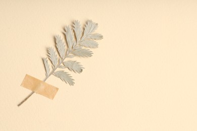 Photo of Beautiful dry leaf with adhesive tape on beige background, top view. Space for text