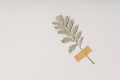 Photo of Beautiful dry leaf with adhesive tape on white background, top view. Space for text