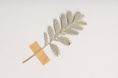 Photo of Beautiful dry leaf with adhesive tape on white background, top view