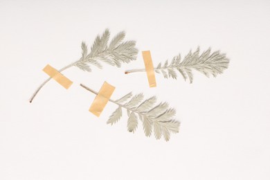 Photo of Beautiful dry leaves with adhesive tape on white background, flat lay