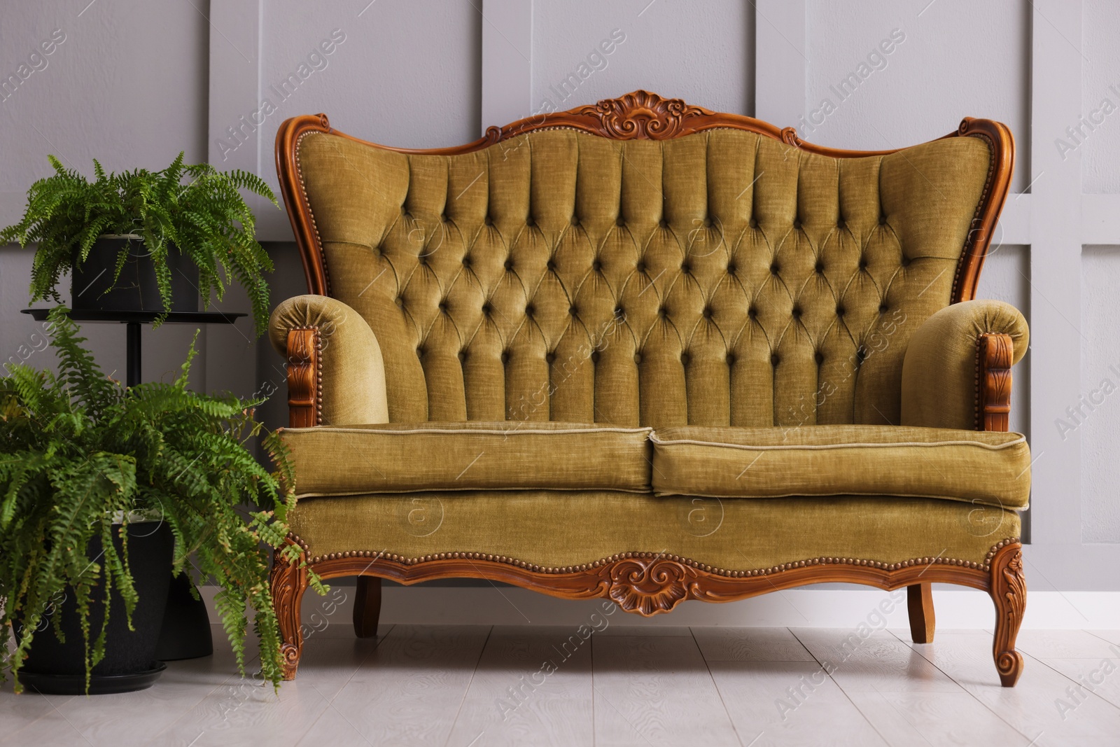 Photo of Stylish sofa and houseplants near gray wall in room