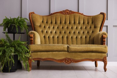 Photo of Stylish sofa and houseplants near gray wall in room