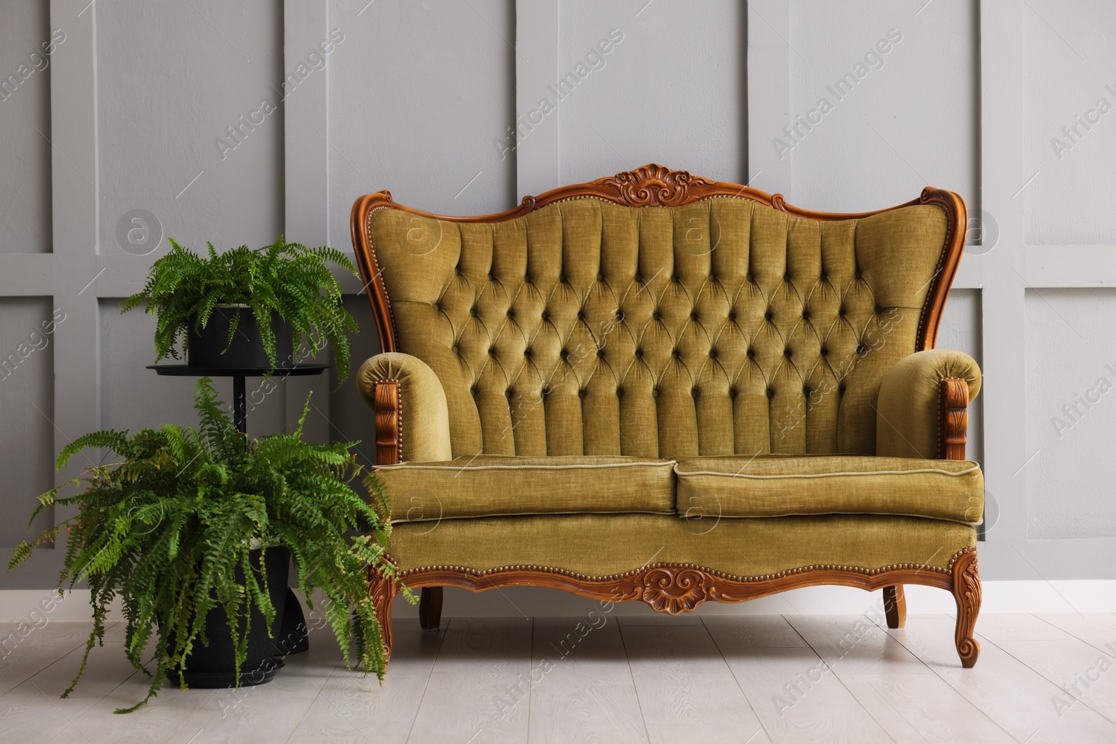 Photo of Stylish sofa and houseplants near gray wall in room