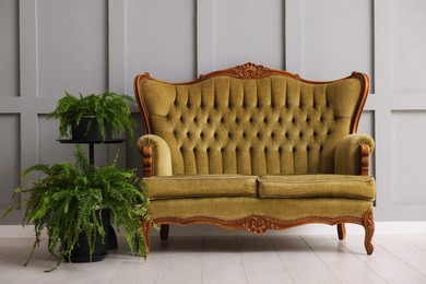 Photo of Stylish sofa and houseplants near gray wall in room