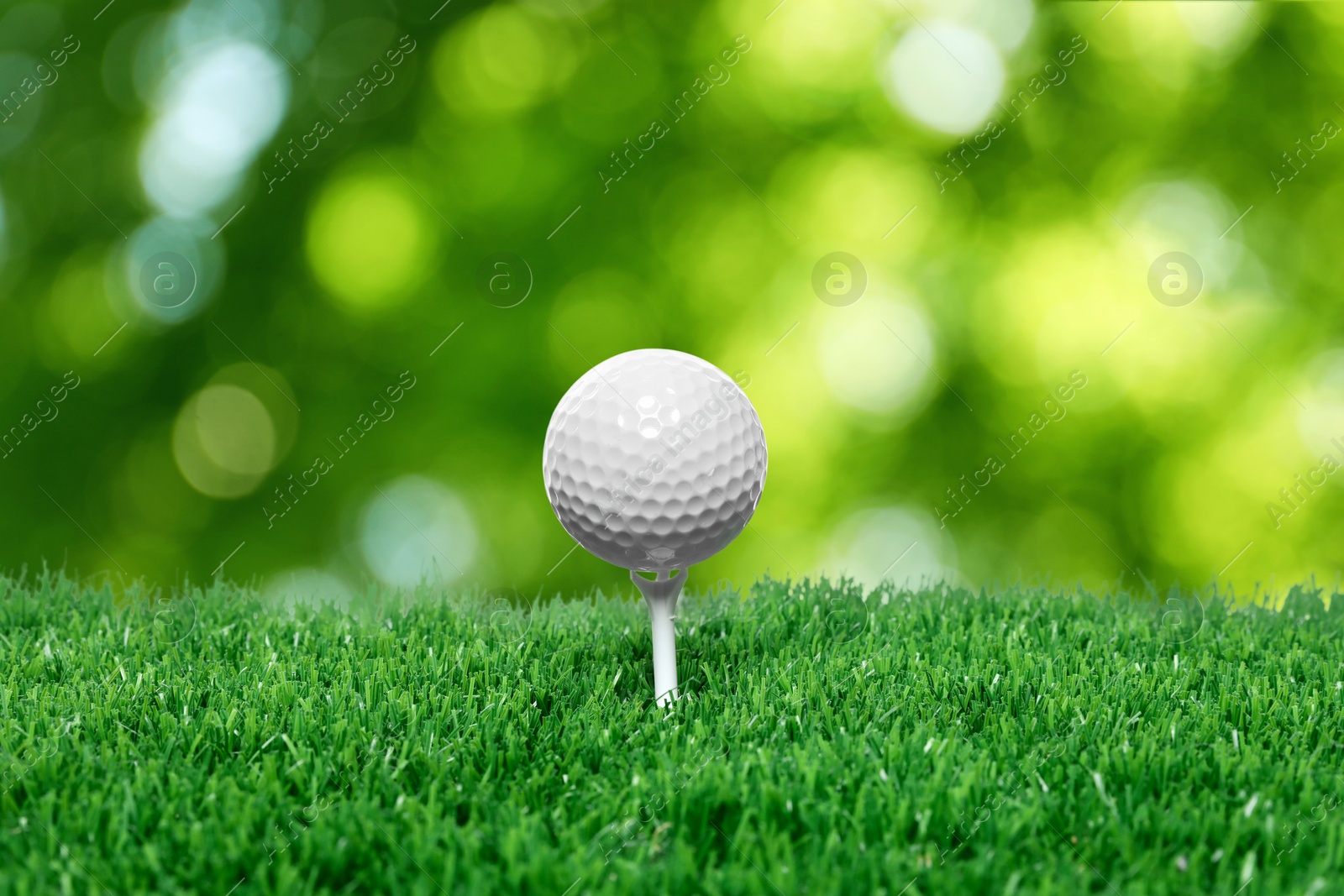 Golf ball on green grass against blurred background Image of Golf ball on green grass against blurred background