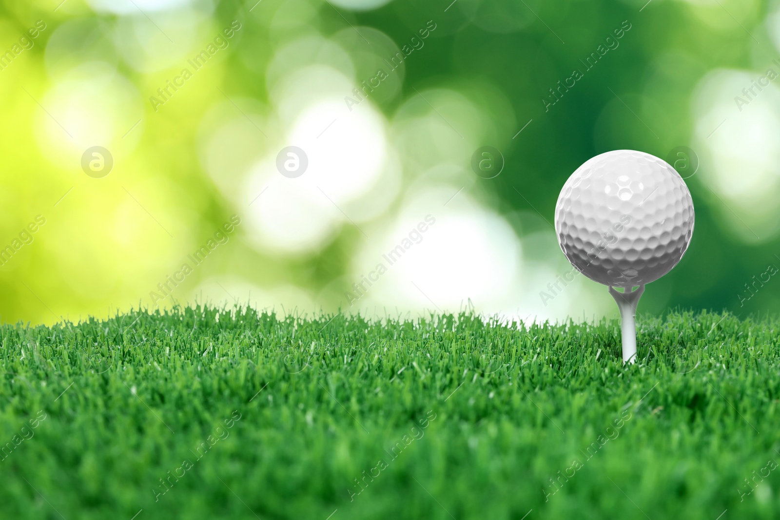 Golf ball on green grass against blurred background Image of Golf ball on green grass against blurred background