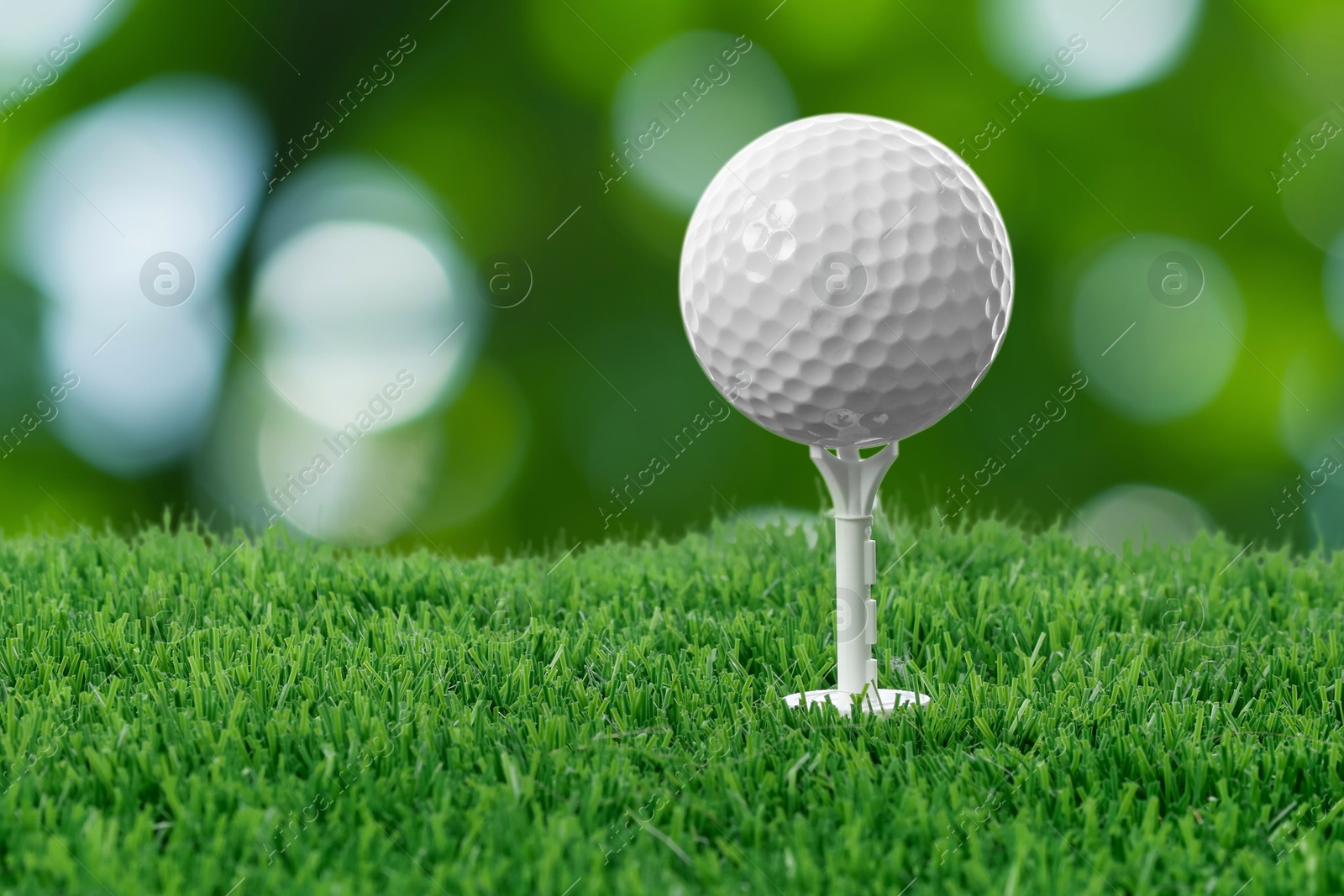 Golf ball on green grass against blurred background Image of Golf ball on green grass against blurred background