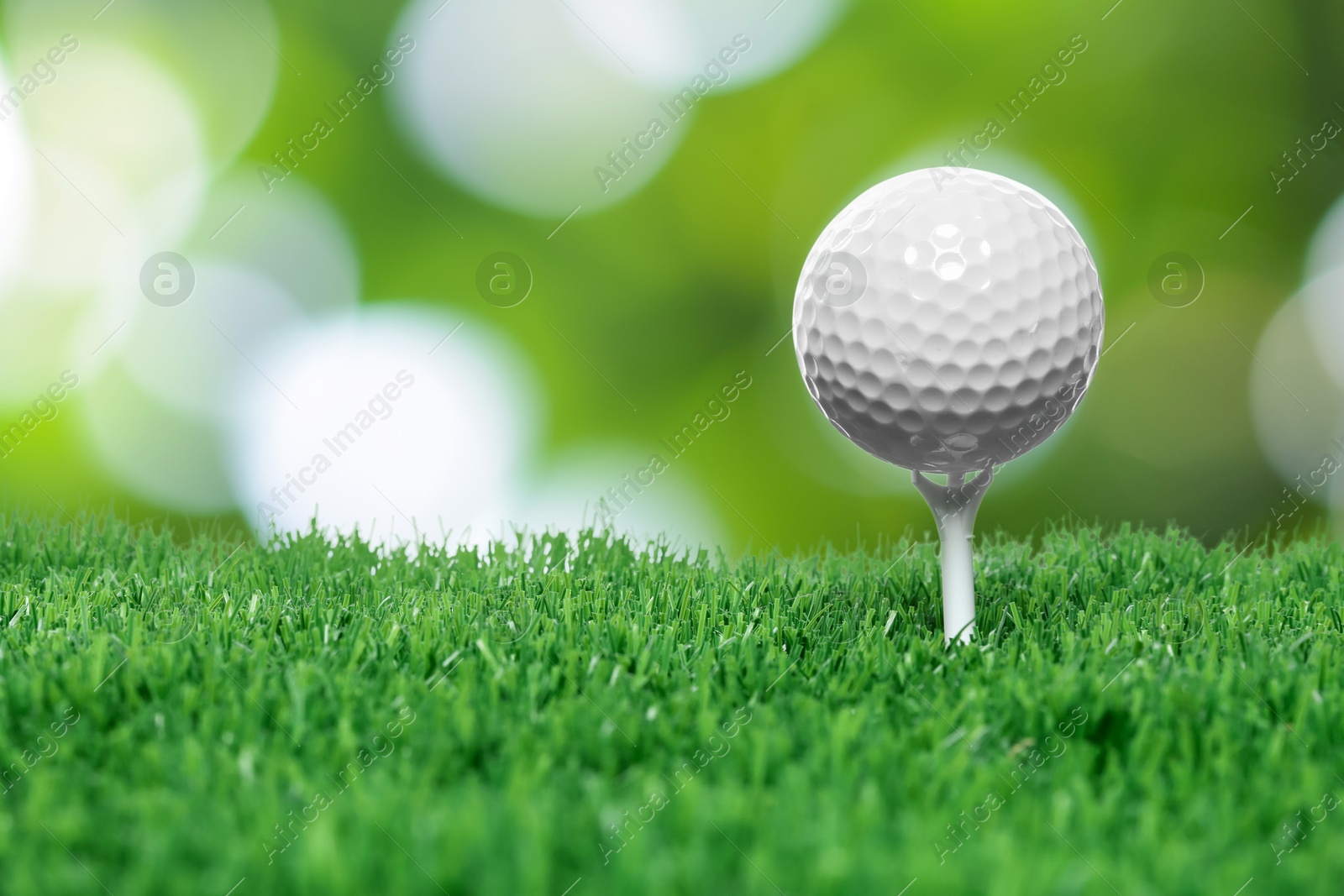 Image of Golf ball on green grass against blurred background