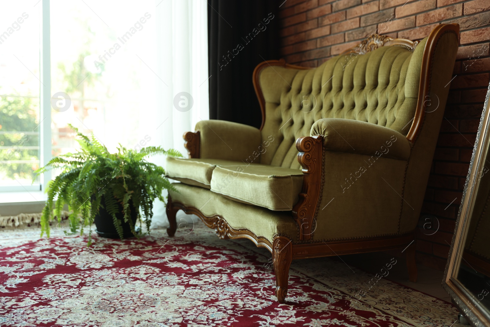 Green retro sofa and houseplant in room. Interior design Photo of Green retro sofa and houseplant in room. Interior design