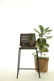 Photo of Bar stool and houseplants isolated on white. Used stuff