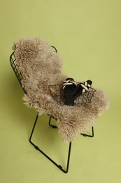 Photo of Bar stool, chair and shoes on olive background. Used stuff