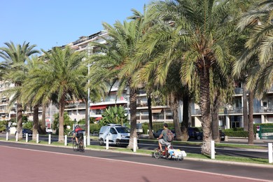 Photo of Nice, France - August 23, 2025: Beautiful palm trees and buildings on city street