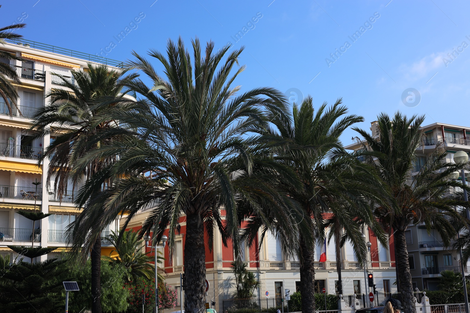Photo of Nice, France - August 23, 2025: Beautiful palm trees and buildings on city street