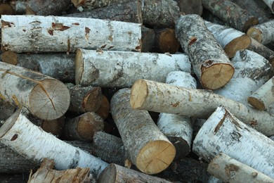 Photo of Pile of cut firewood outdoors, closeup view