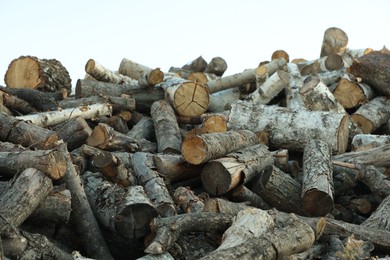 Photo of Pile of cut firewood outdoors, closeup view