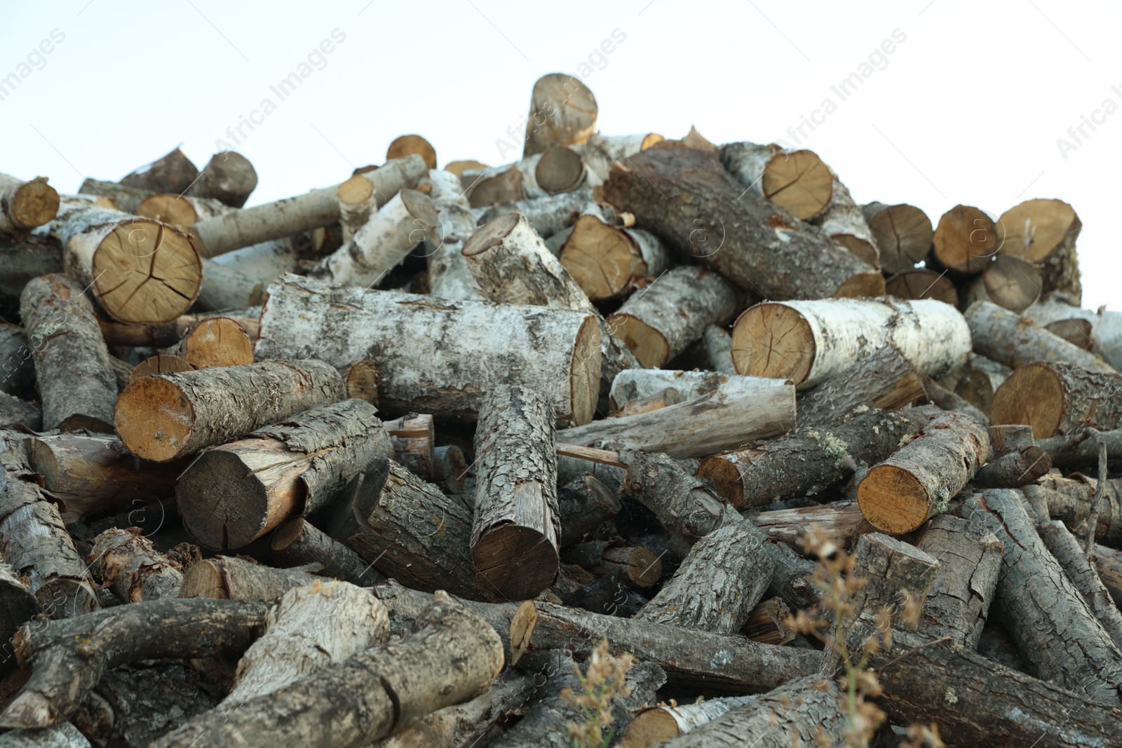 Photo of Pile of cut firewood outdoors, closeup view