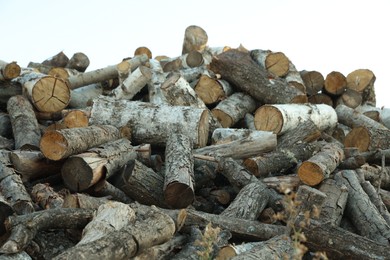 Photo of Pile of cut firewood outdoors, closeup view