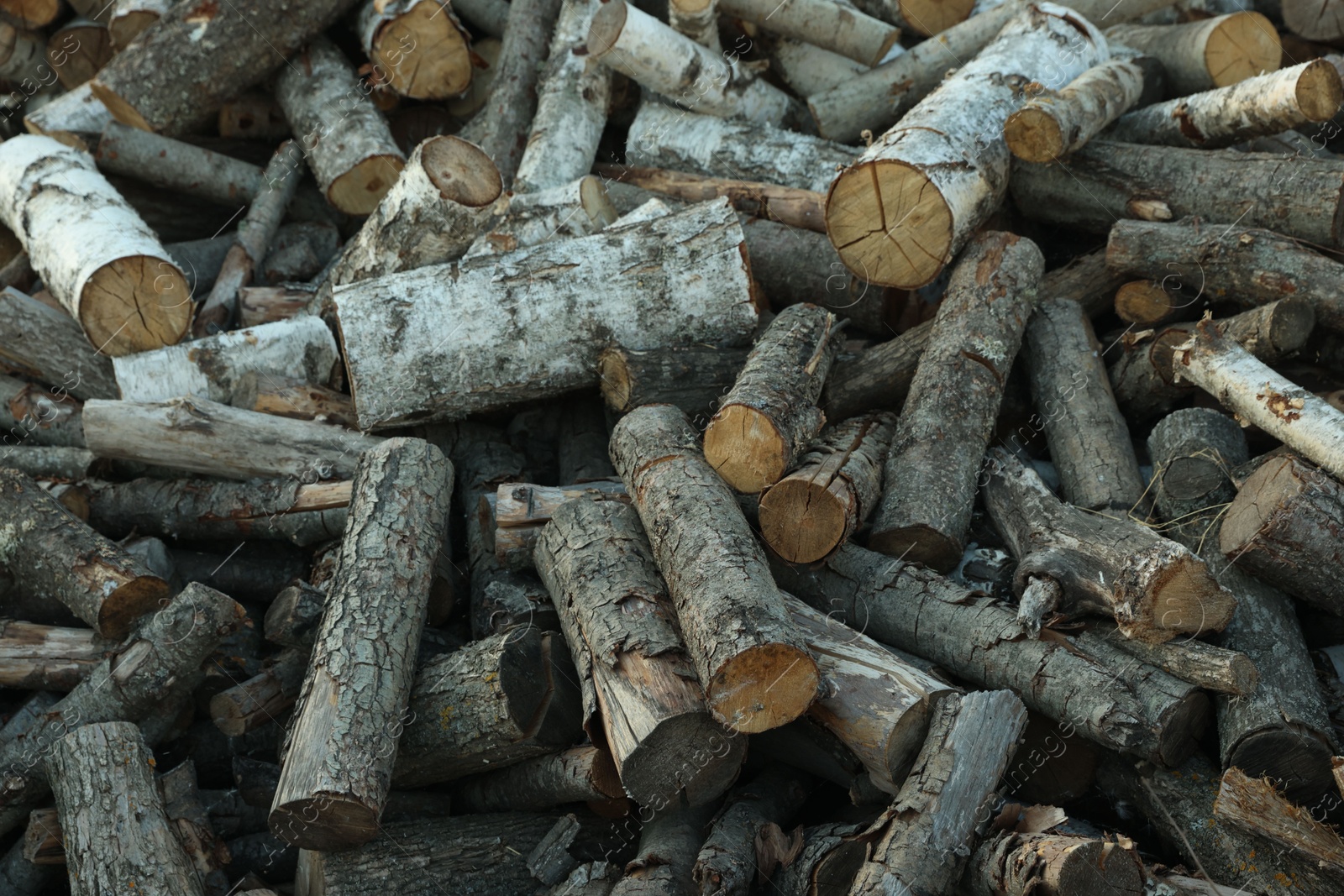 Photo of Pile of cut firewood outdoors, closeup view