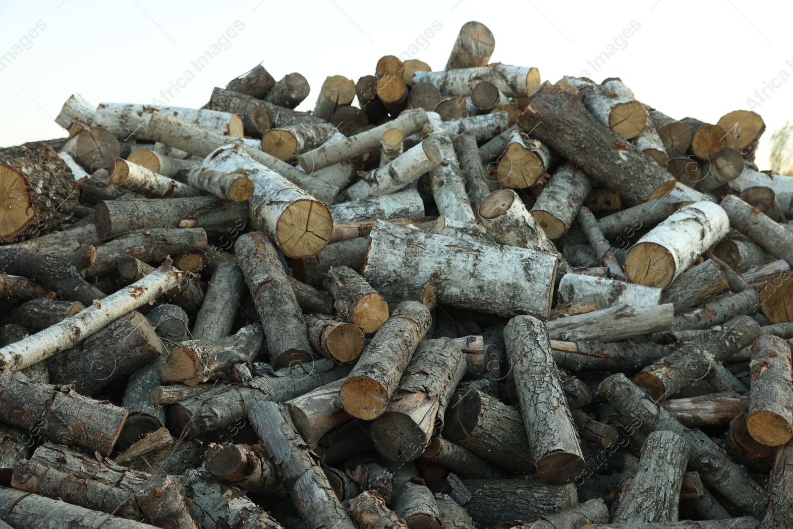 Photo of Pile of cut firewood outdoors, closeup view