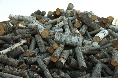 Photo of Pile of cut firewood outdoors, closeup view